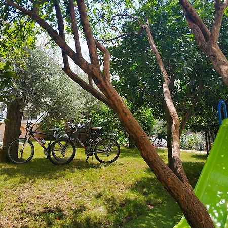 בודווה Apartments Vila Anastasia מראה חיצוני תמונה